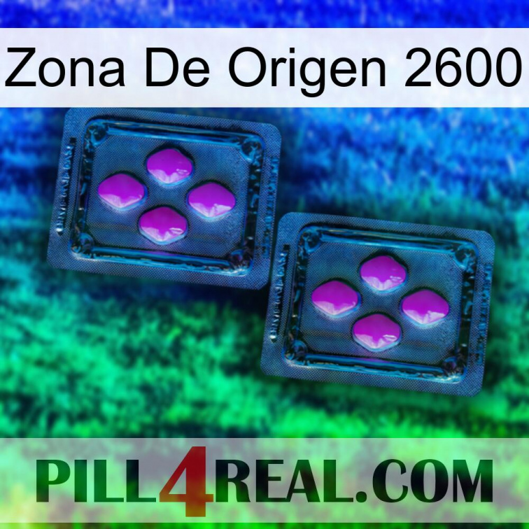 Home Zone 2600 03
